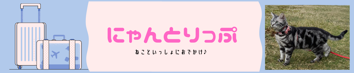 大室山のリフトにペットと乗る方法 割引クーポンはある 料金や時間などまとめ にゃんとりっぷ